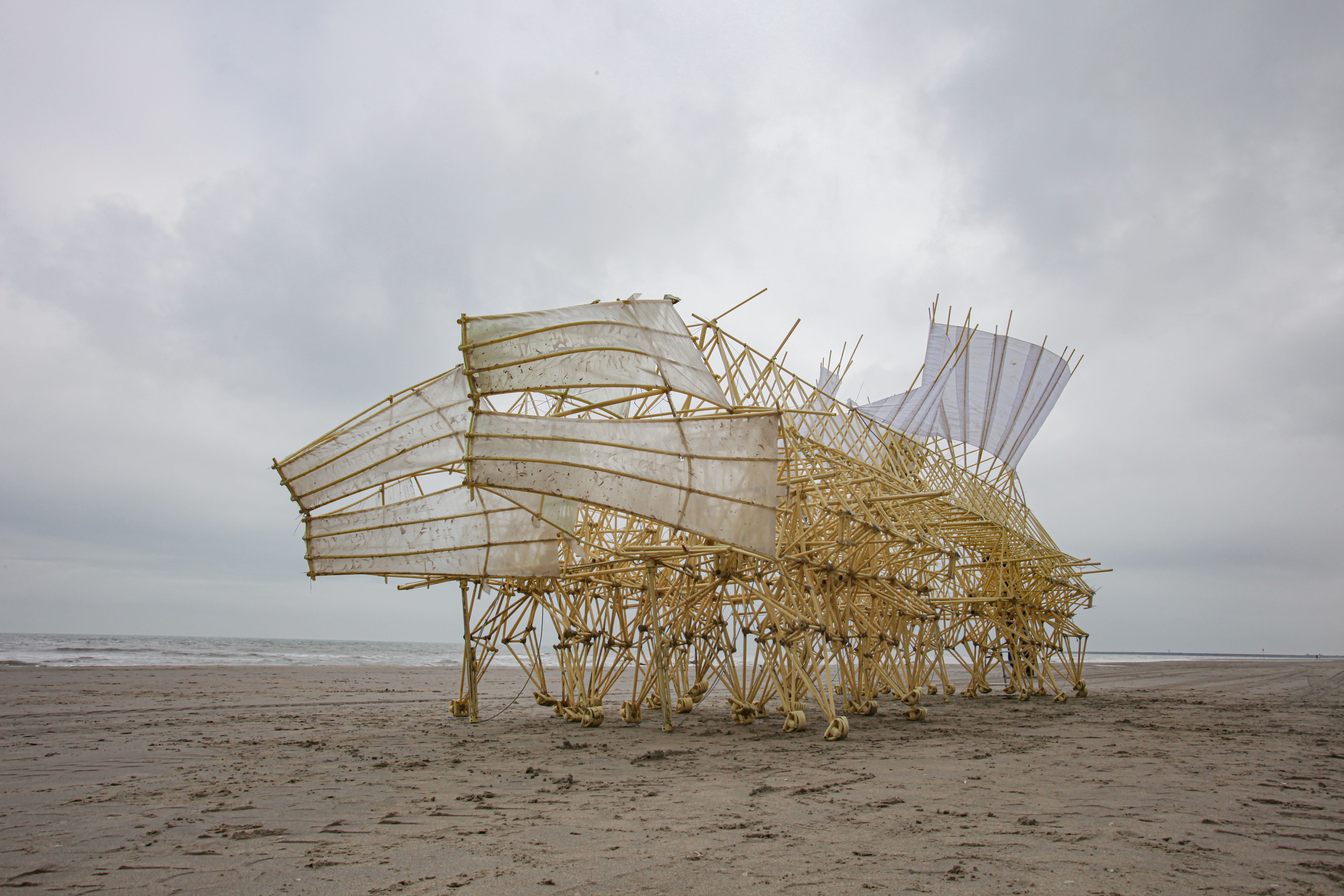 Strandbeest