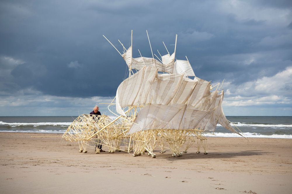 Strandbeest - Strandbeest