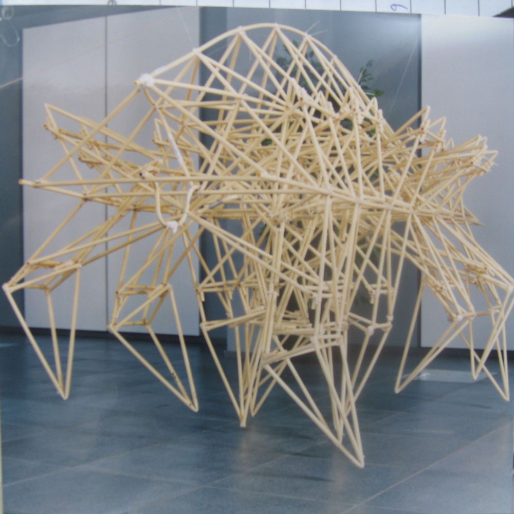 Strandbeest